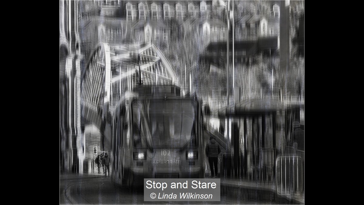 Stop and Stare